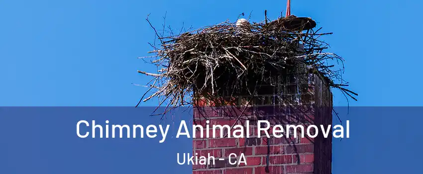  Chimney Animal Removal Ukiah - CA