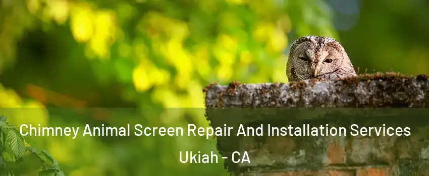  Chimney Animal Screen Repair And Installation Services Ukiah - CA