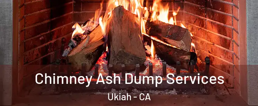  Chimney Ash Dump Services Ukiah - CA