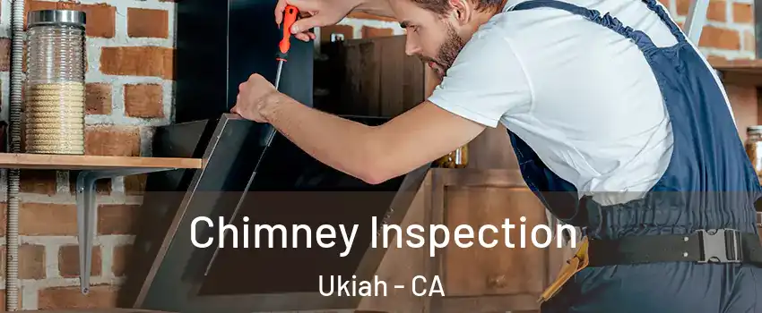  Chimney Inspection Ukiah - CA