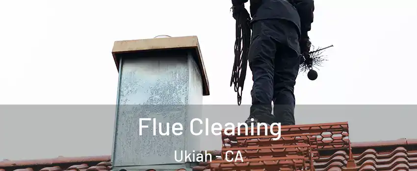 Flue Cleaning Ukiah - CA