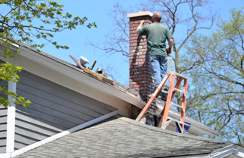 Chimney & Fireplace Inspections Services in Ukiah, CA