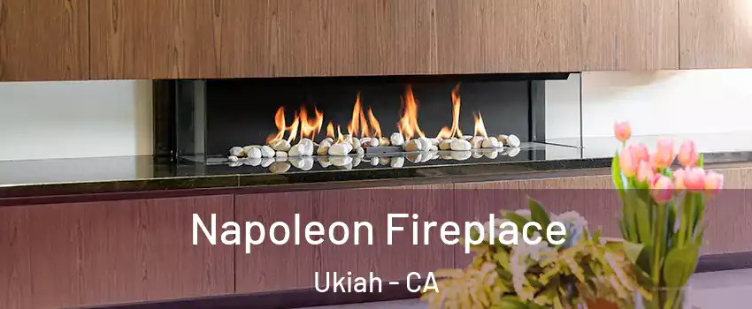  Napoleon Fireplace Ukiah - CA
