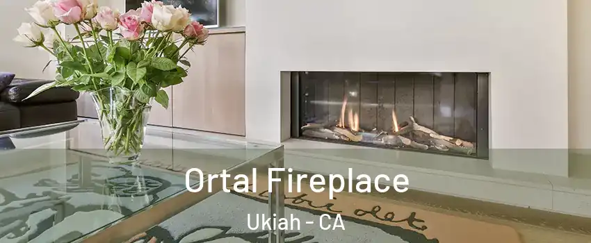  Ortal Fireplace Ukiah - CA